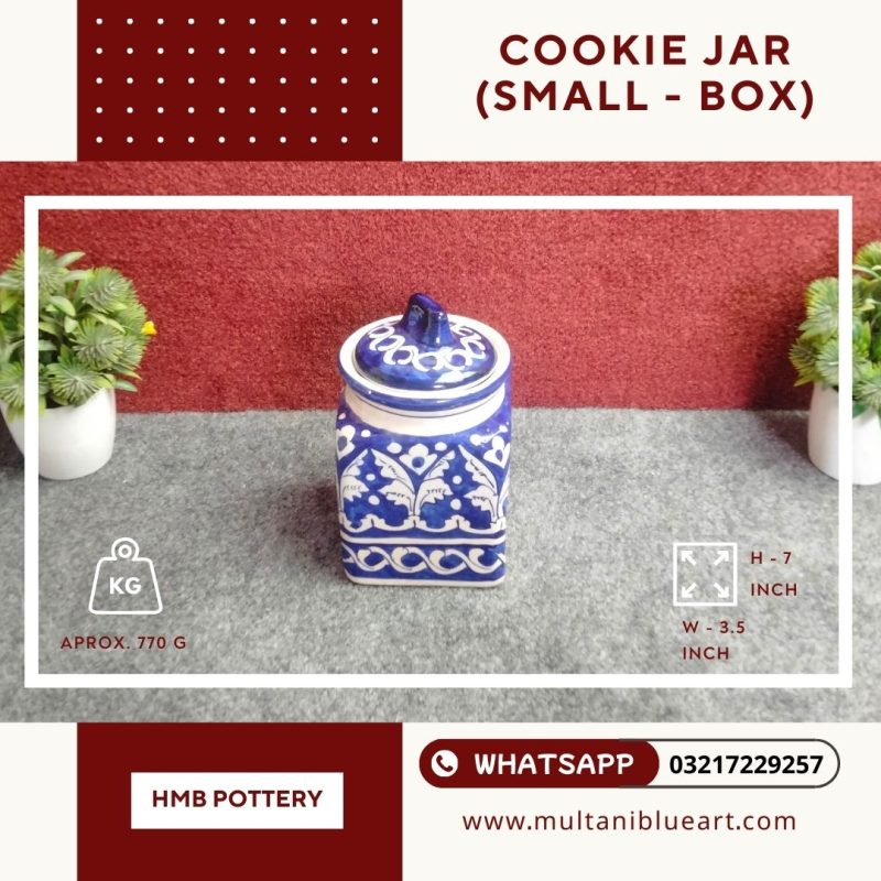 Cookie Jar (Small - Box) - Multani Blue Pottery